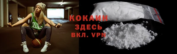 PSILOCYBIN Абаза