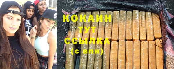 PSILOCYBIN Абаза