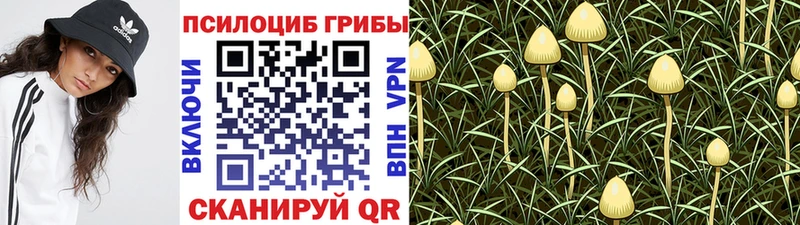 как найти закладки  Среднеколымск  Псилоцибиновые грибы мицелий 